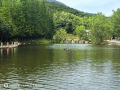 -横山寺