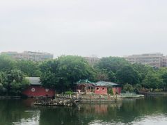 -公园茶楼粤式点心