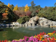 -香山公园