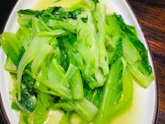 -陈麻婆豆腐(旗舰店)