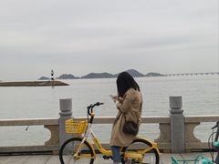 -金苑海鲜酒家(来魅力店)