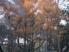 -长春市南湖公园