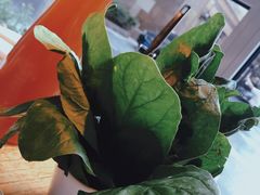 -草原塞蛮羊火锅城(港湾店)