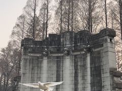 -音乐台
