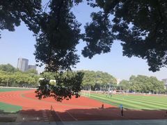 -武汉大学-樱园