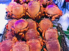 -澜悦港海鲜体验主题餐厅