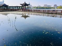 -莲花池公园