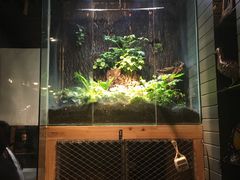 -有才叔的小馆(招商依云曲江店)