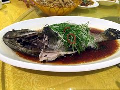 -潮人姐妹轩(海宁路店)