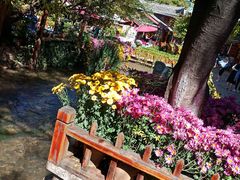 -滇藏石锅宴(崇仁巷老店)