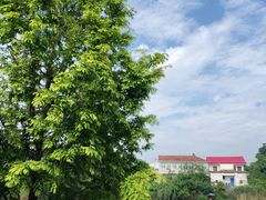 -石岐佬中山菜馆(张溪店)