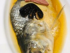 老酒蒸鲥鱼-望乡楼上海菜(日月光店)