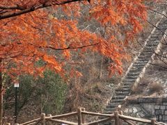 -白水寺森林公园