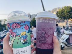 -雾与山茶(大禹城店)
