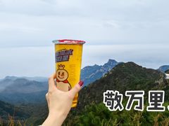 -泰山风景名胜区
