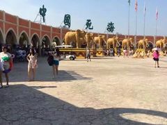 -中国死海旅游度假区