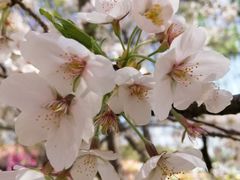 -北京植物园-展览温室