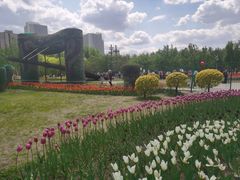 -长春公园(普阳街道)