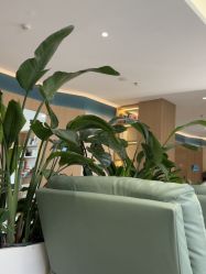 -LIHER北京丽合医疗美容医院