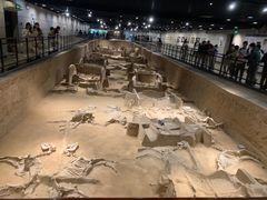 -洛阳周王城天子驾六博物馆