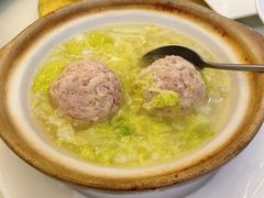 -丁老爷子苏香圆