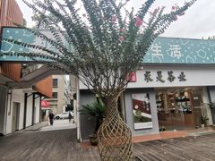-浙江大学(玉泉校区)