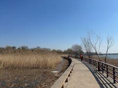 -绿堤公园
