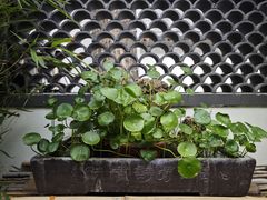 -潇湘·永州会馆(百子湾店)