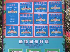 -灵玲国际马戏城