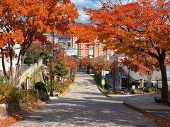 -成都濑川外国语学校