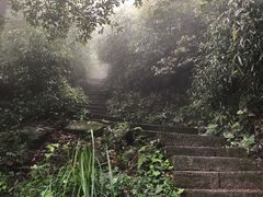 -缙云山景区