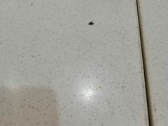 -那坡里比萨(康王北路店)