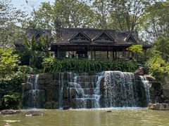 -中国科学院西双版纳热带植物园