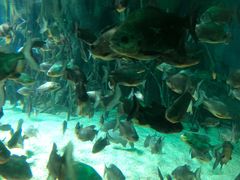 -福州罗源湾海洋世界旅游区