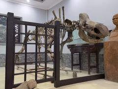 -游龙石文化科普馆