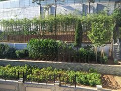 -慢丽江·云南野生菌土鸡锅(付家庄店)