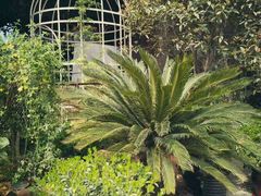 -胡桃里音乐酒馆(曲江店)