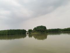 -上海海湾国家森林公园