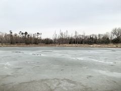 -永定河休闲森林公园