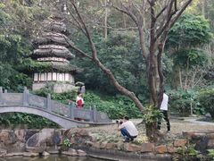 -深圳国际园林花卉博览园