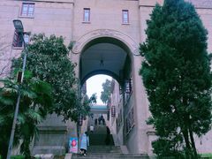 -武汉大学-樱园