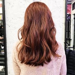 -SALON V