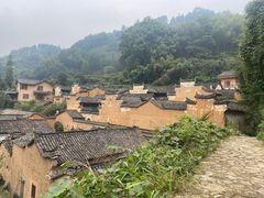 -杨家堂村