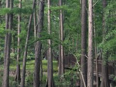 -东湖落雁景区