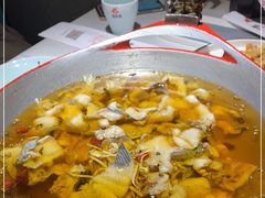 -雲蜀龙阁·金牌水煮鱼(方庄店)