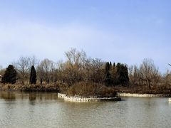 -盐城丹顶鹤湿地生态旅游区