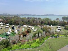 -徐州绿地皇冠假日酒店-汉宫中餐厅