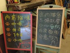 -猫色咖啡·猫咖