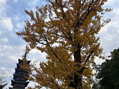 -上海方塔园