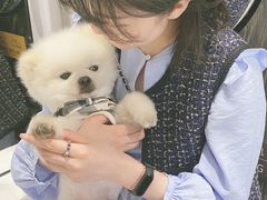 -XI·LaundryCafe 喜咖自助洗衣咖啡店